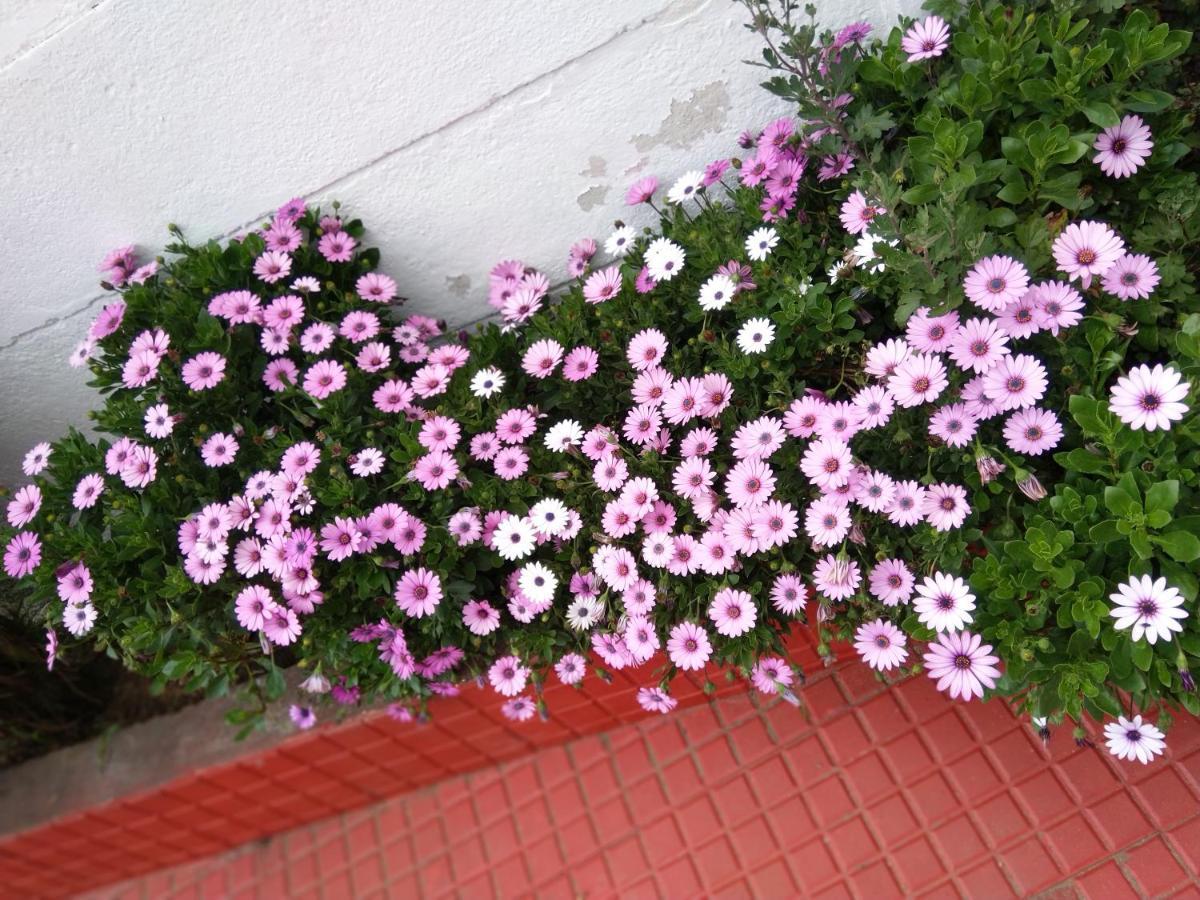 Ganapathy Garden Homestay Kodaikanal Buitenkant foto