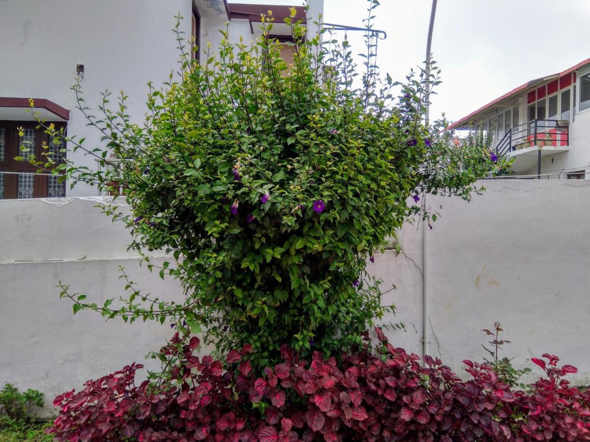 Ganapathy Garden Homestay Kodaikanal Buitenkant foto